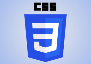 CSS quiz